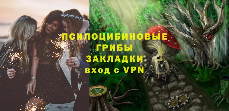 где продают   Уссурийск  Галлюциногенные грибы Psilocybe 